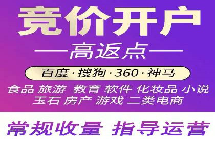 成功案例分享：SEM推广策略的制定与执行